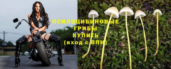 МДМА Михайловка